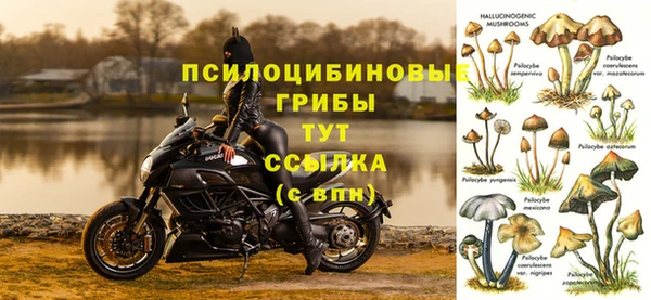 спайс Абдулино
